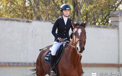 动漫我被两个姐姐轮流献爱